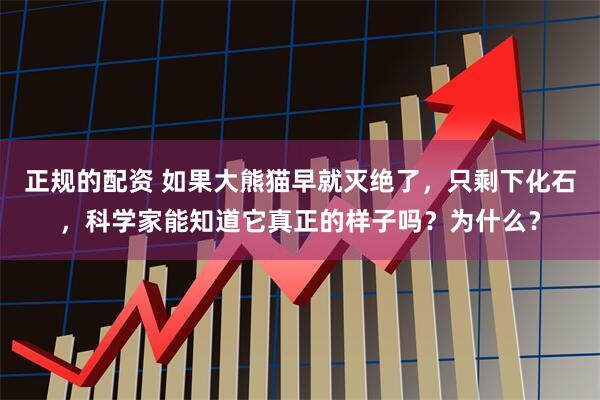 正规的配资 如果大熊猫早就灭绝了，只剩下化石，科学家能知道它真正的样子吗？为什么？